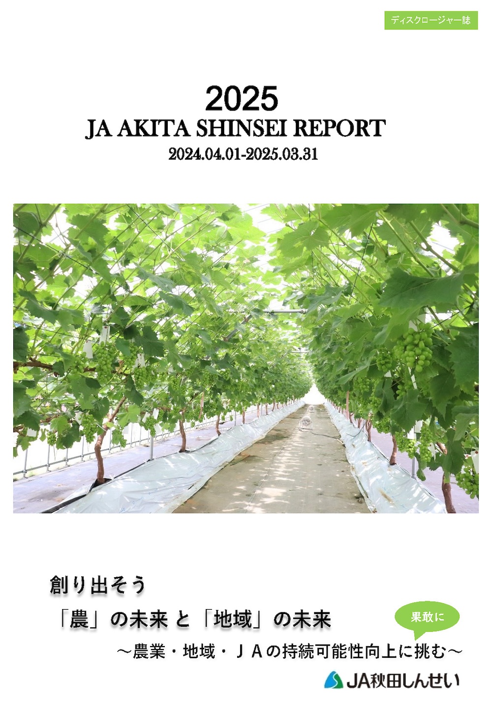 ディスクロージャー