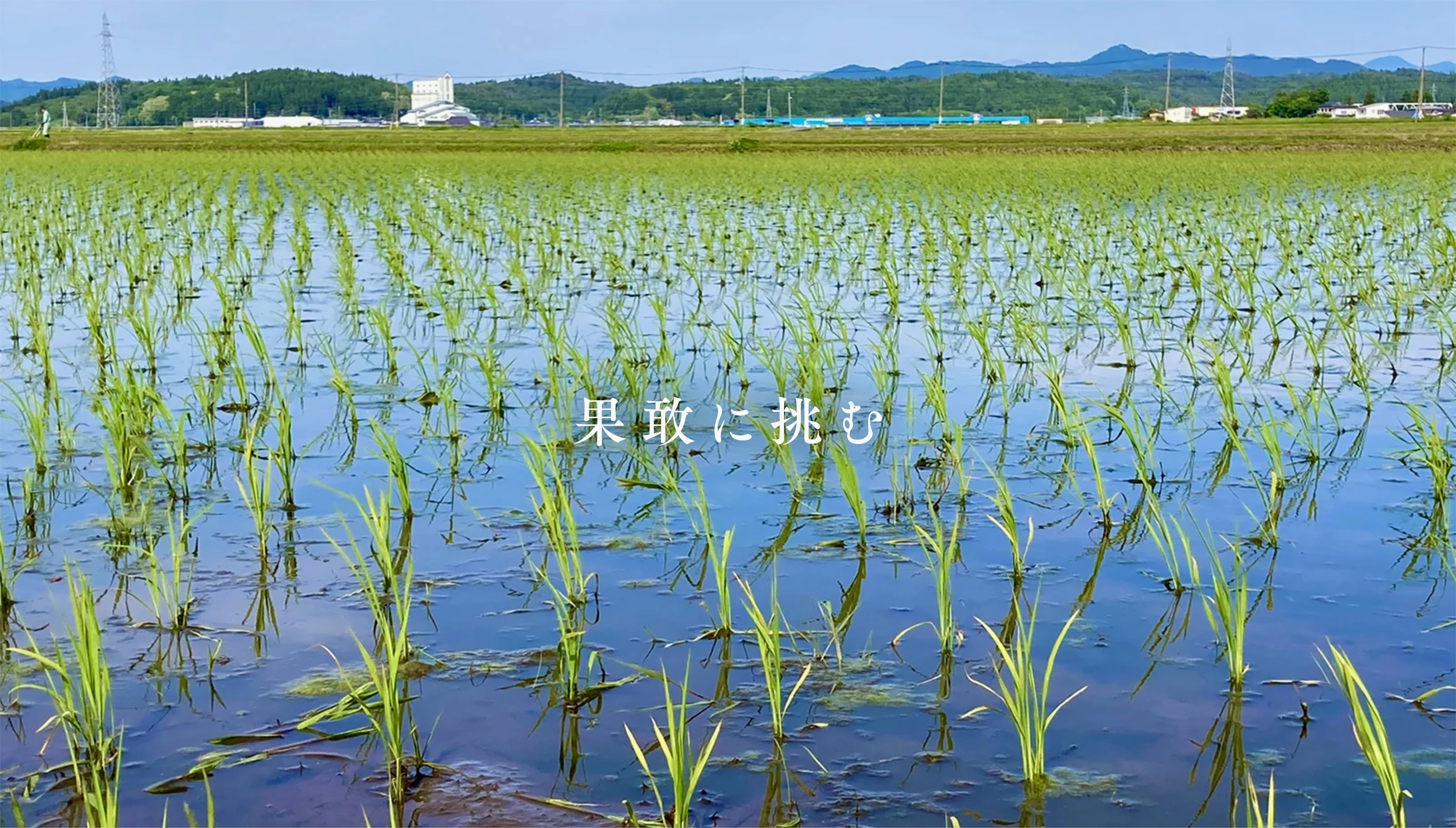 メインビジュアル