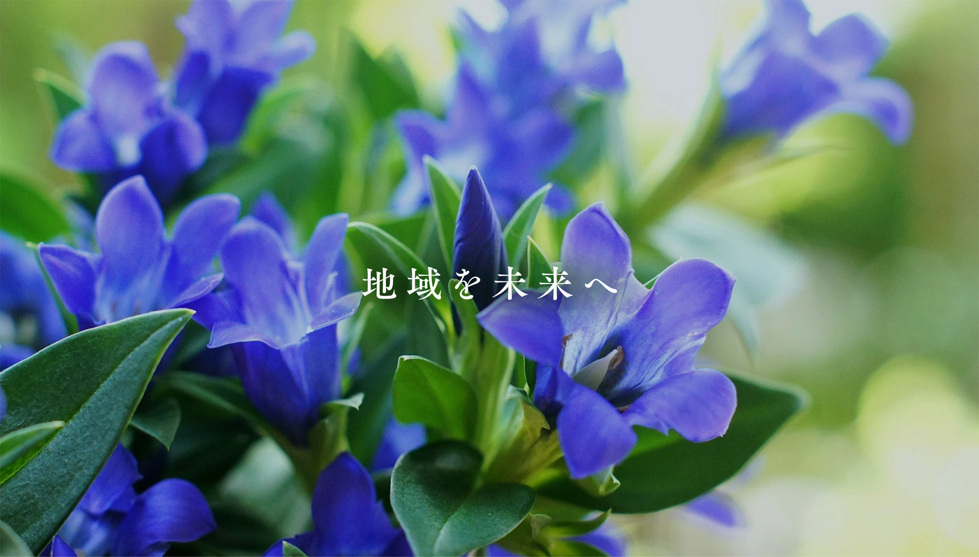 メインビジュアル